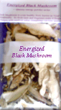 qigong mushroom