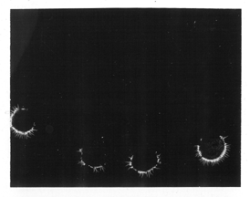 Finger Aura before