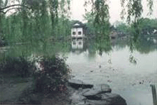 Qigong West Lake