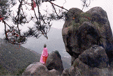Qigong Quanyin Peak