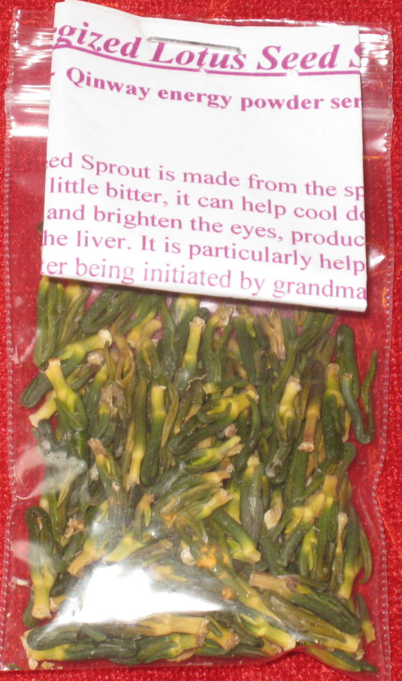 Lotus Seed Sprout